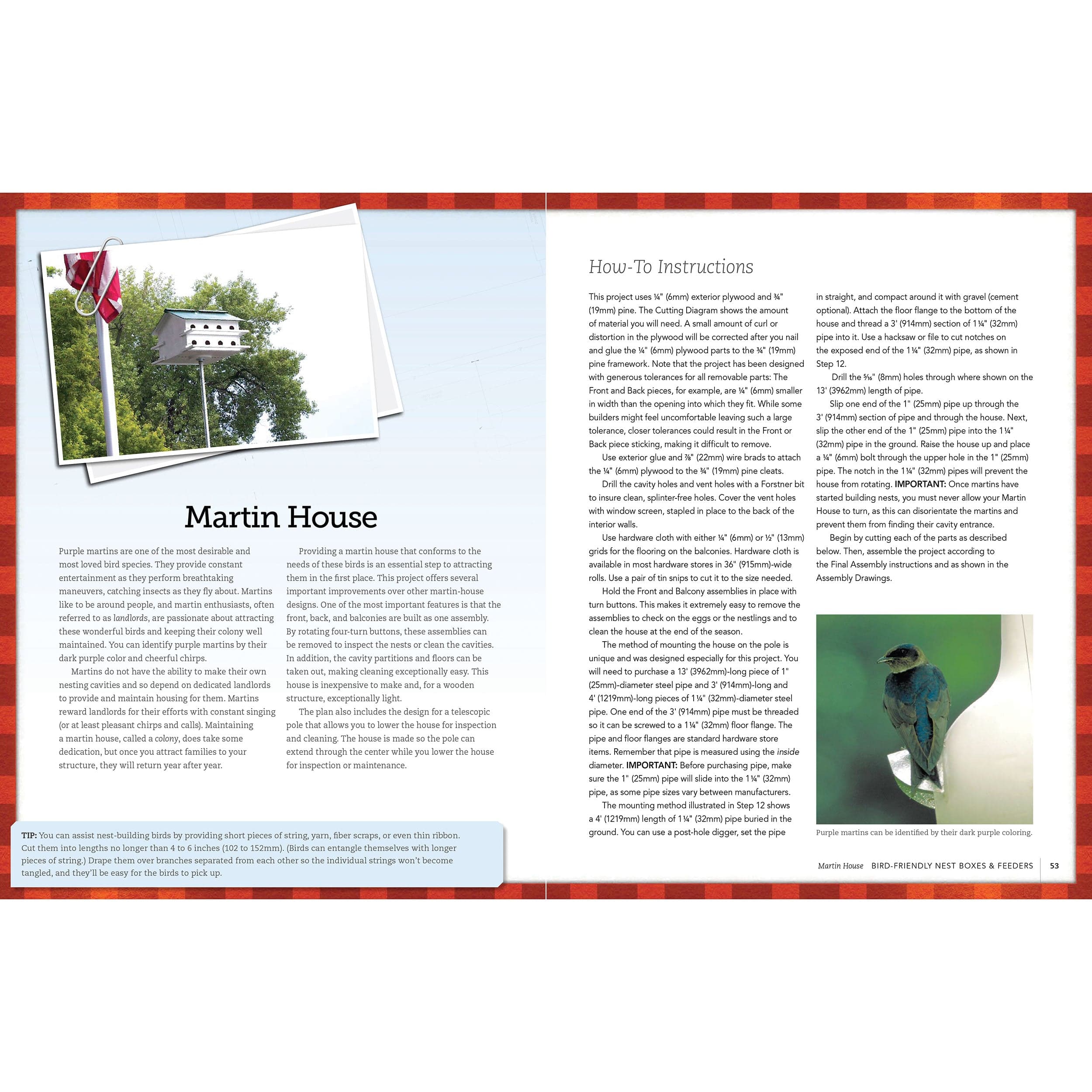 Bird-Friendly Nest Boxes and Feeders - Image 5