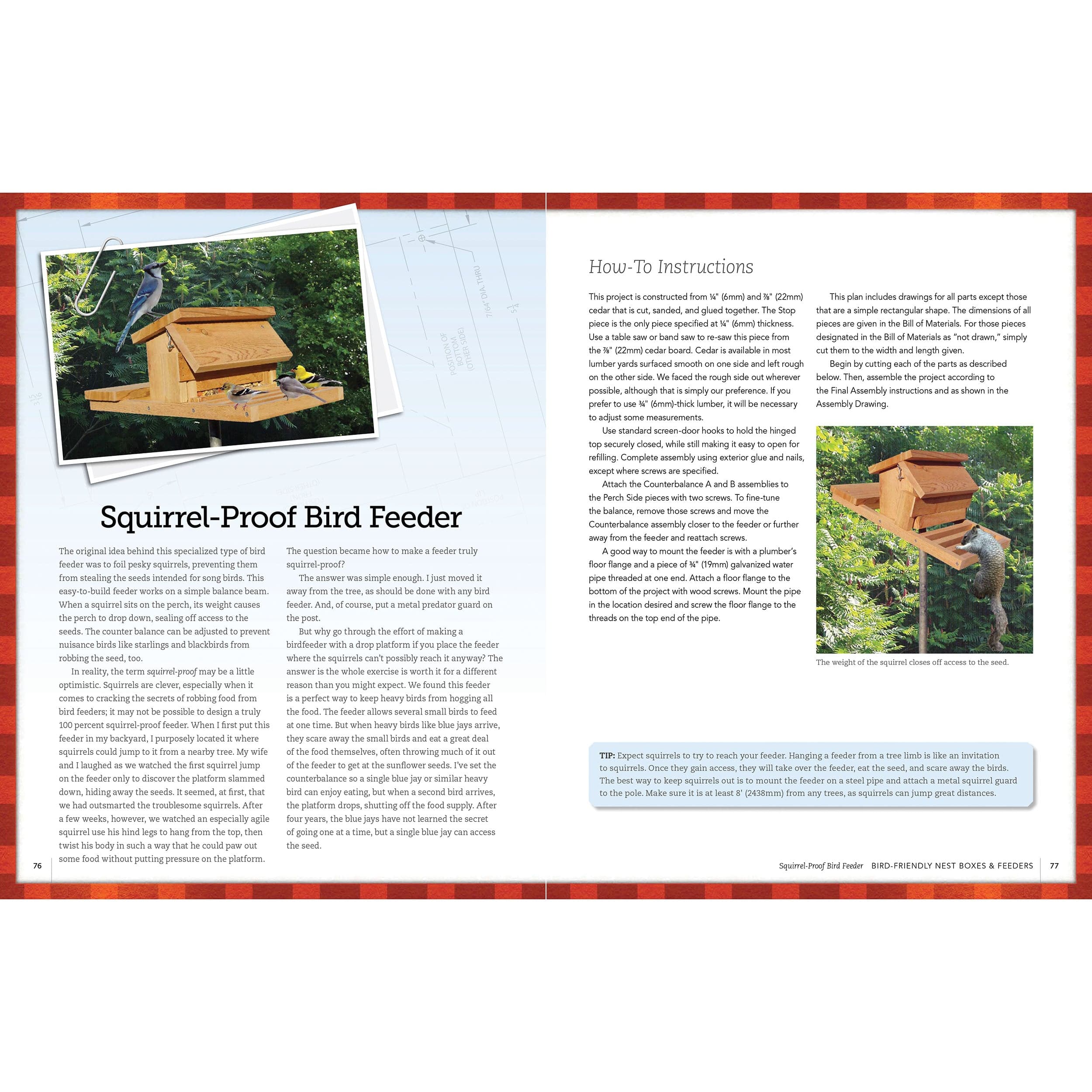 Bird-Friendly Nest Boxes and Feeders - Image 6