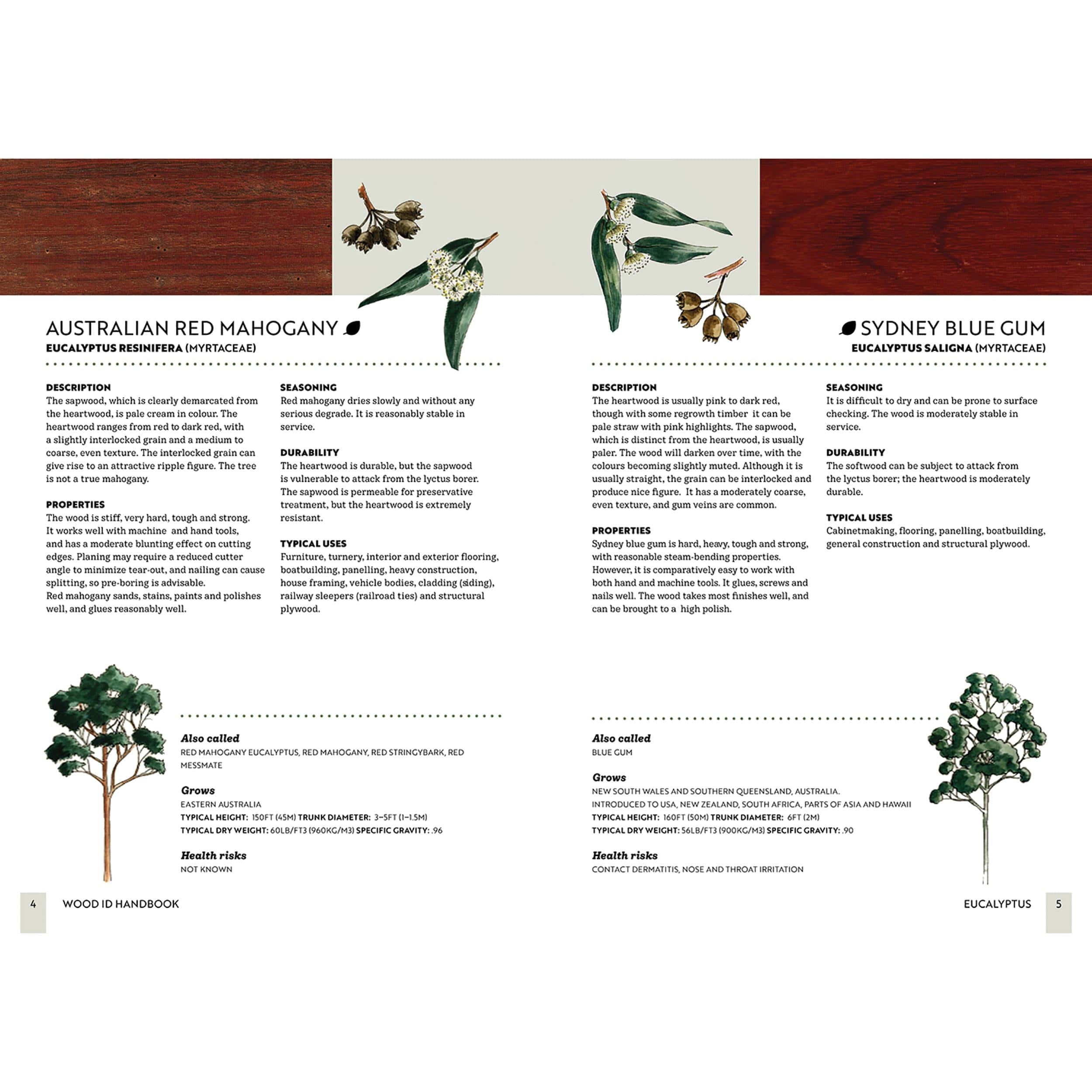 Wood ID Handbook - Image 3