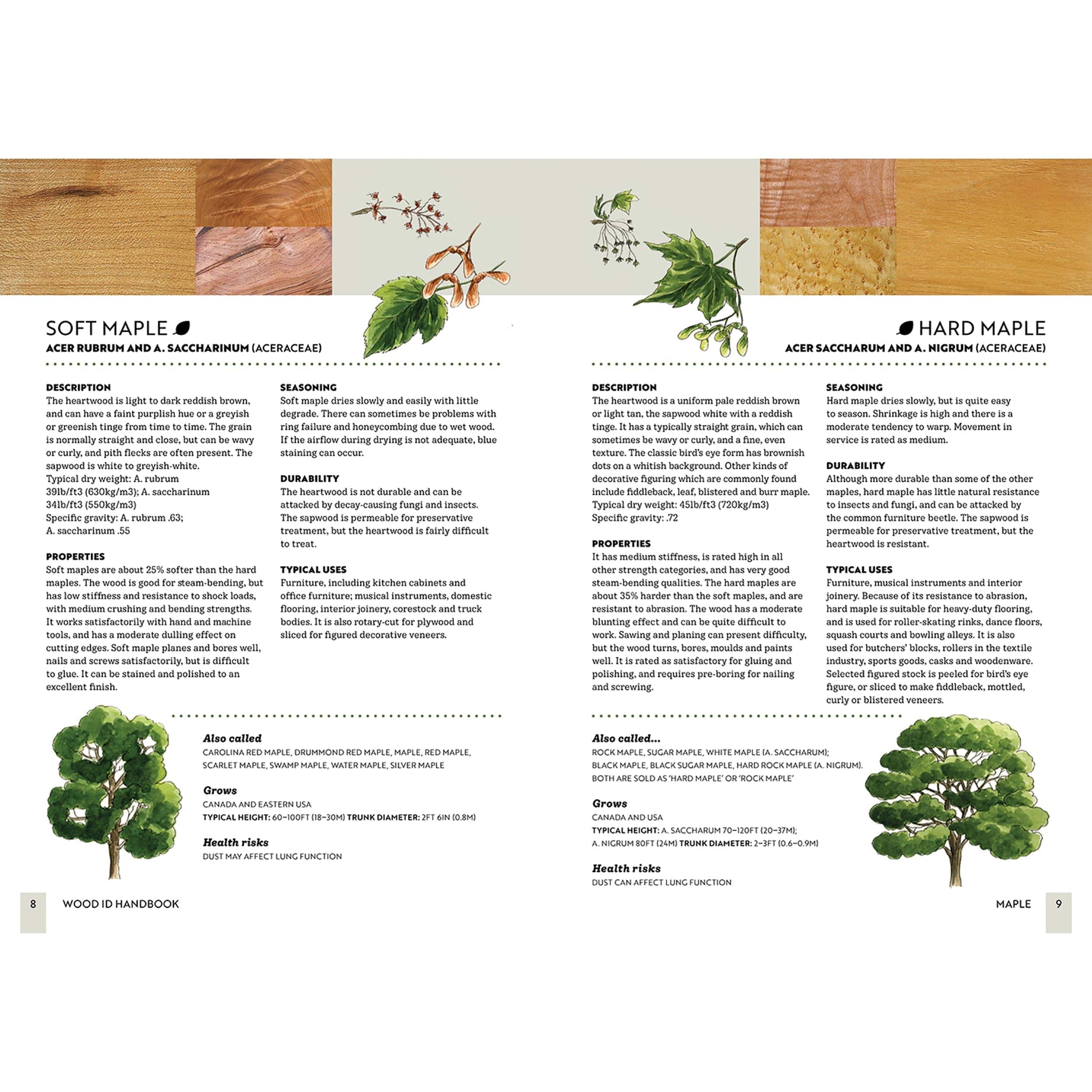 Wood ID Handbook - Image 5