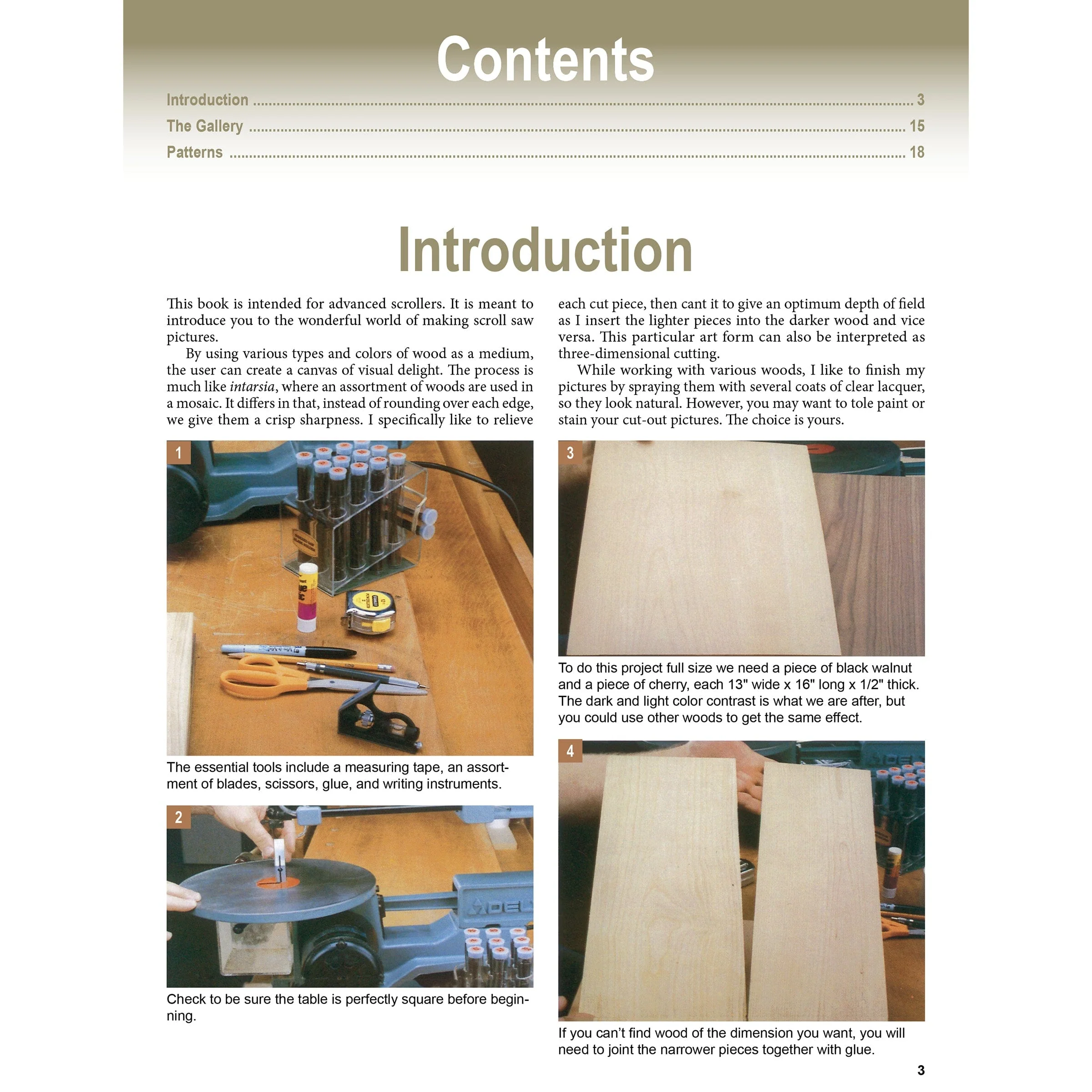 Scroll Saw Pictures 2nd Edi - Image 2
