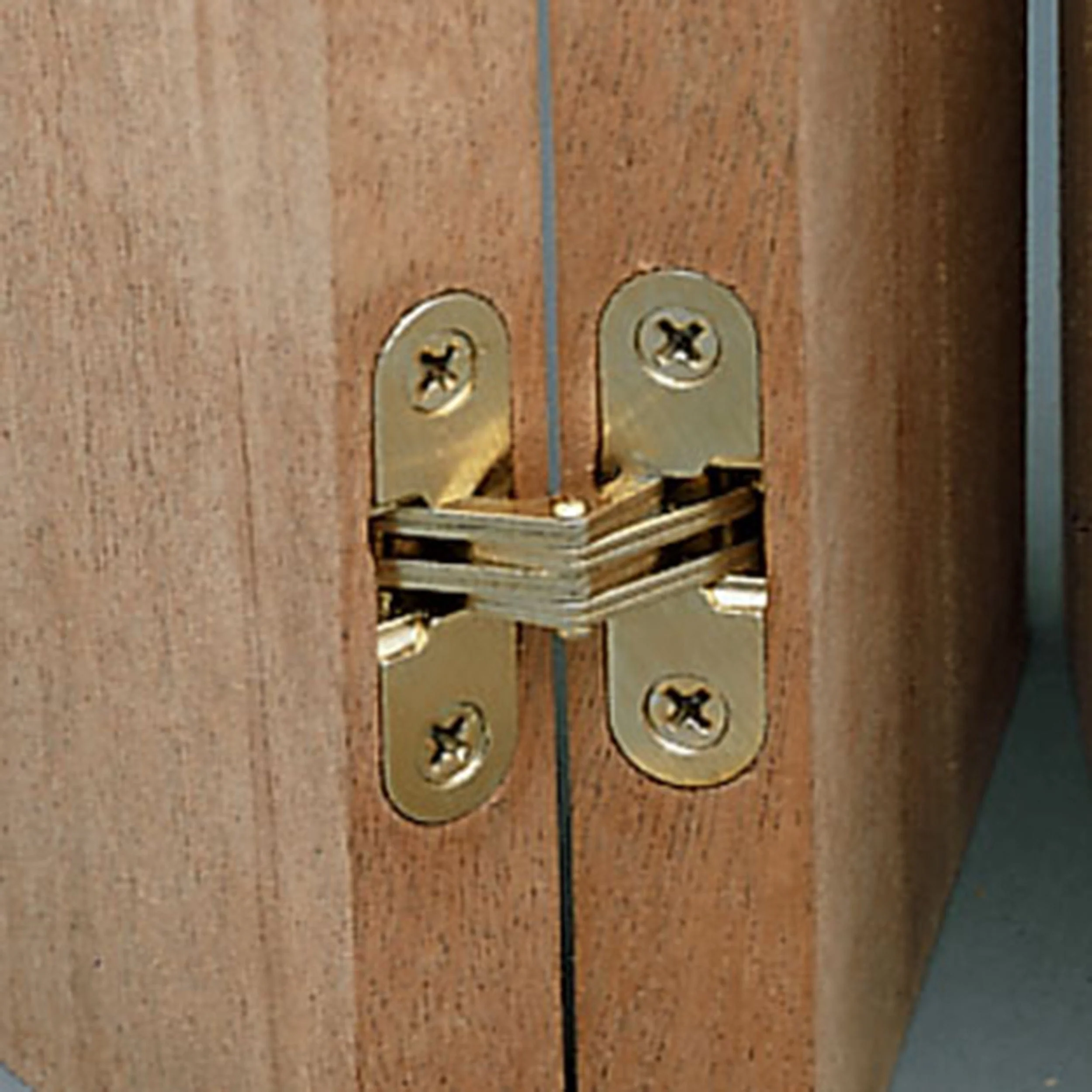 Invisible Hinge - Brass Plated - Pair - Image 3