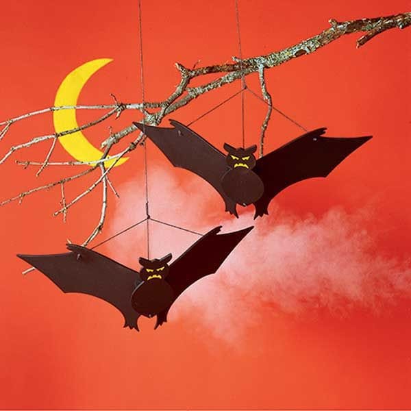Woodworking Project Paper Plan to Build Going Batty Project