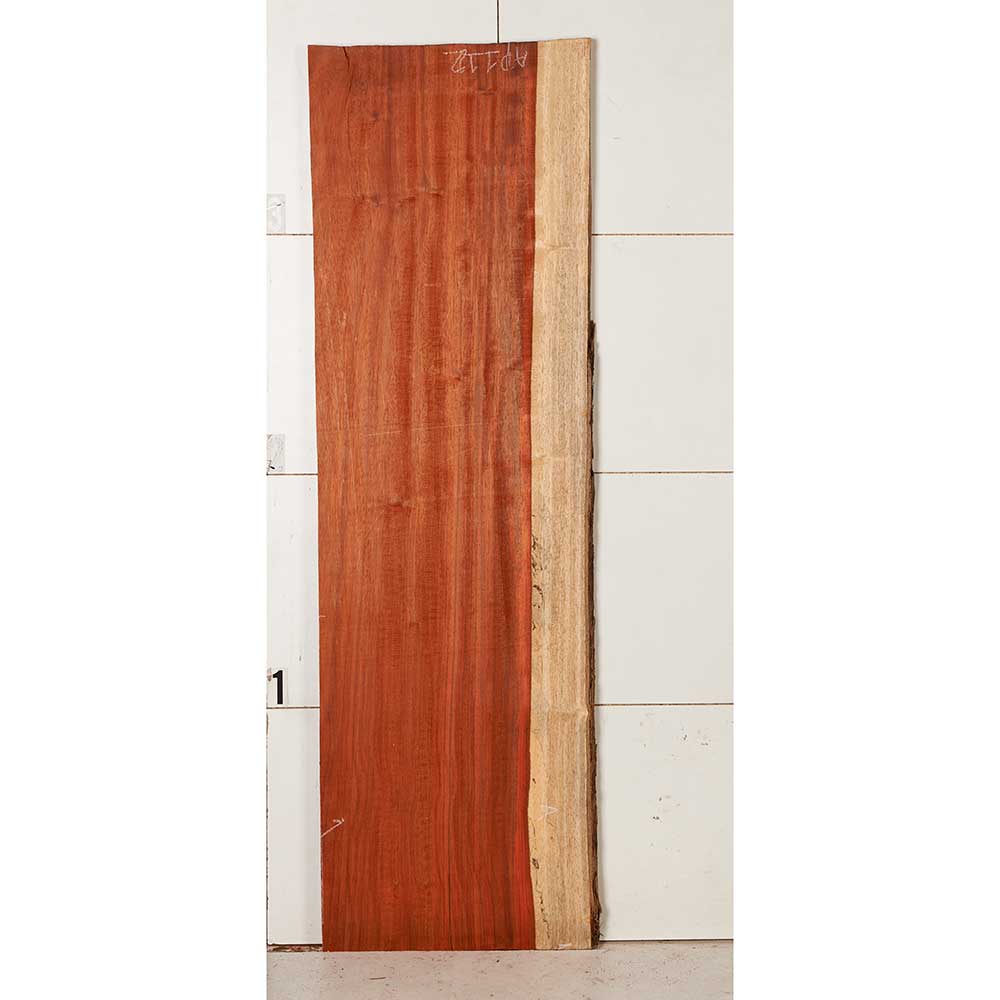 African Padauk Slab - Image 32