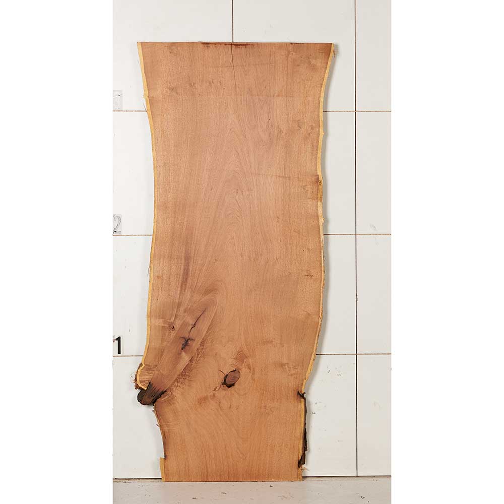Black Mesquite Wood Slab - Image 10