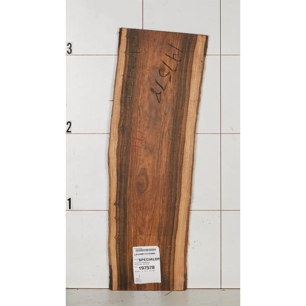 Bocote Wood Slab - Image 49