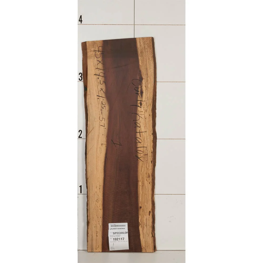 Curly Katalox Wood Slab - Image 3