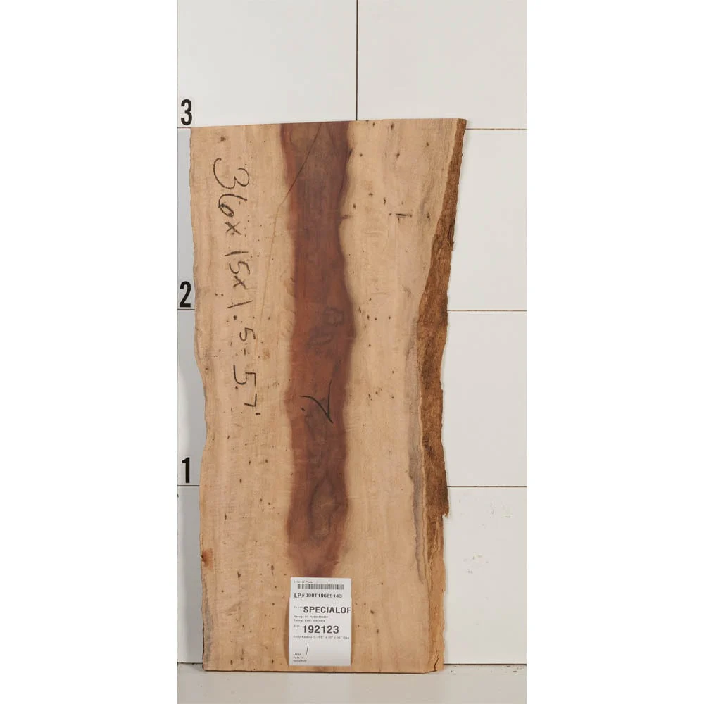 Curly Katalox Wood Slab - Image 5