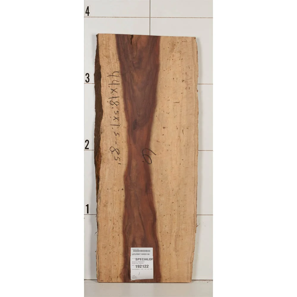 Curly Katalox Wood Slab - Image 7