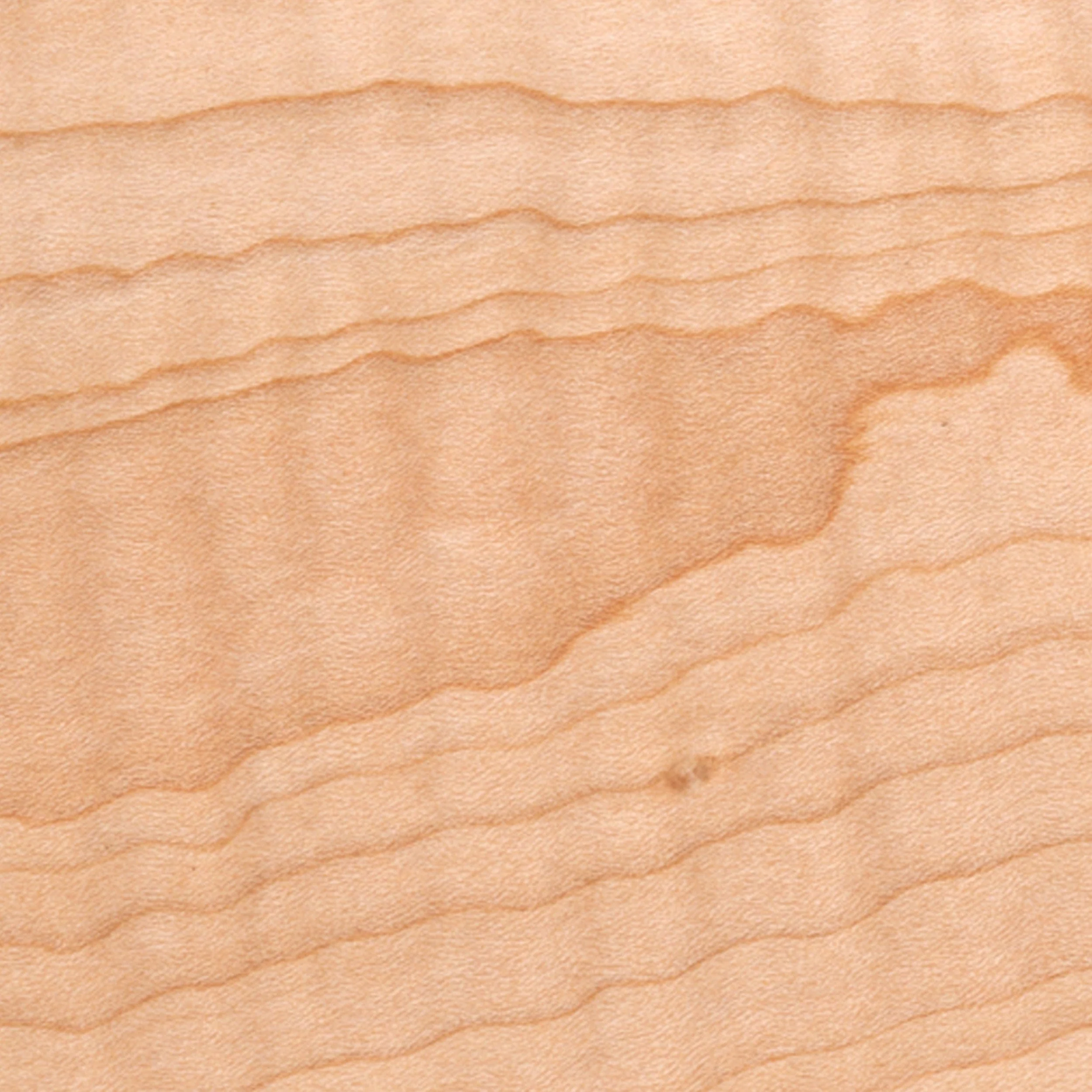 Curly Maple Dimensional Lumber - Image 4