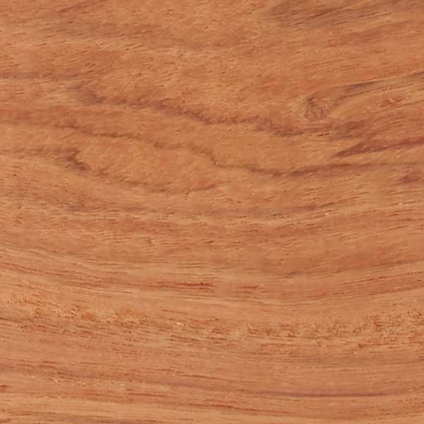 Ebiara Dimensional Lumber - Image 7