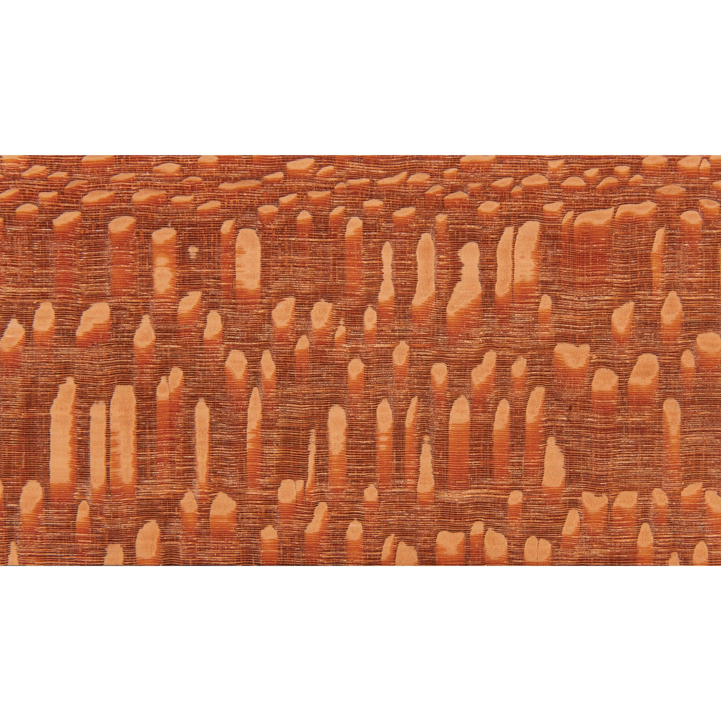 Leopardwood Wood Turning Stock - Image 8