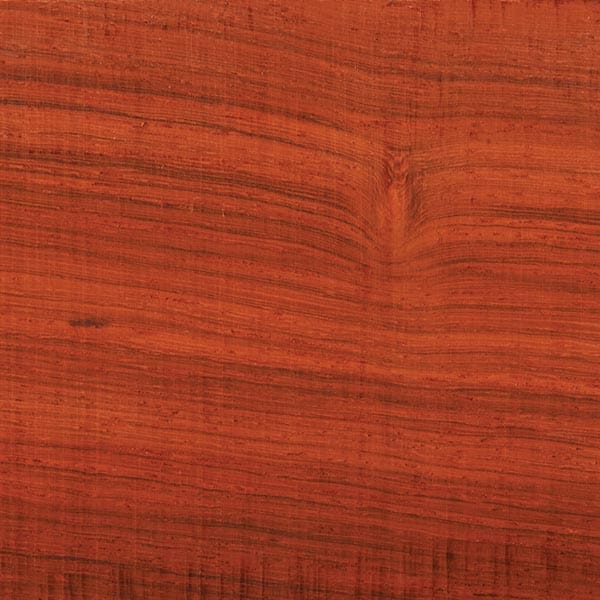 Padauk Wood Turning Stock - Image 2
