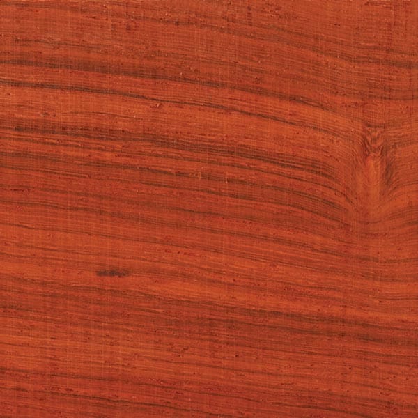 Padauk Wood Turning Stock - Image 4