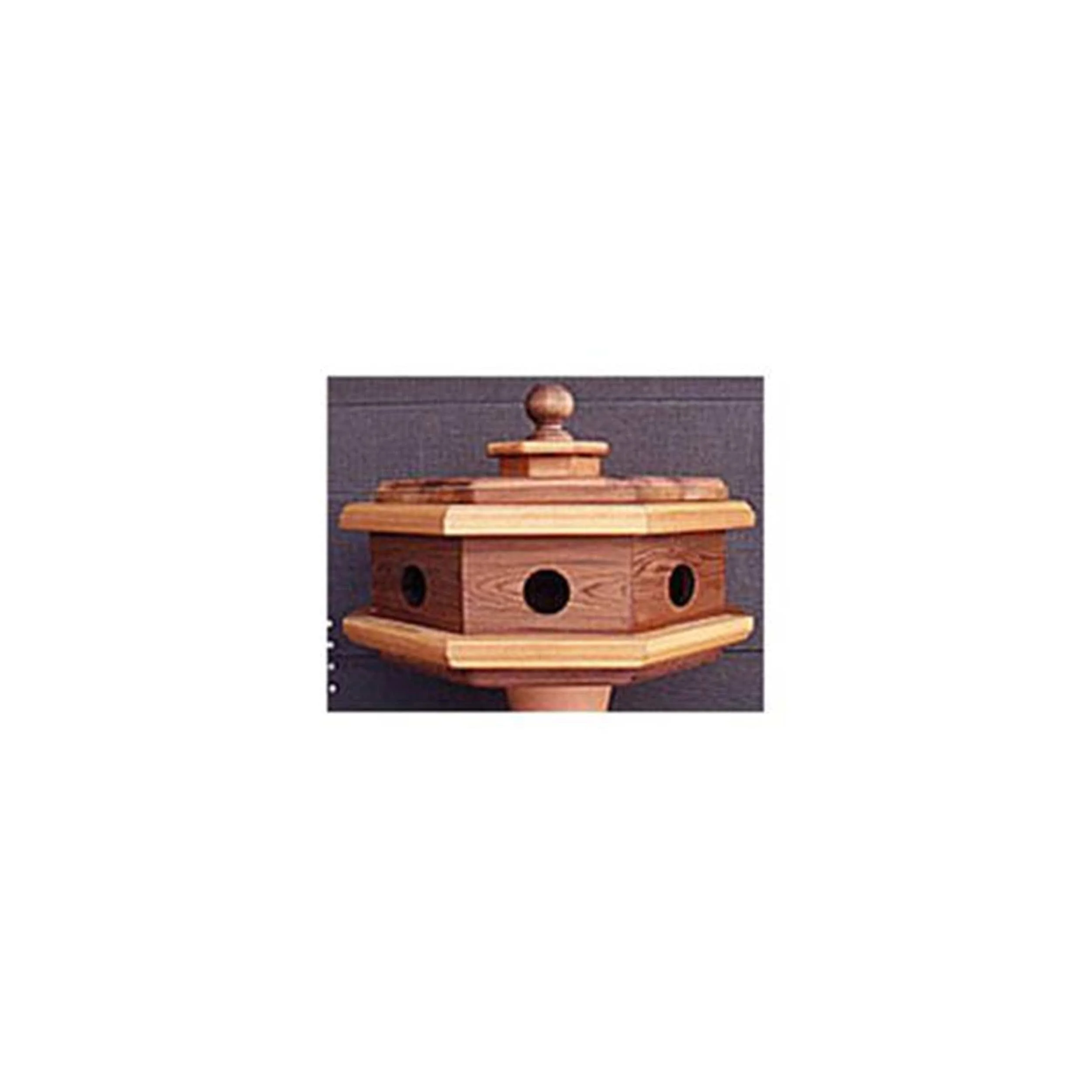 Woodworking Project Paper Plan to Build Octagon Martin House